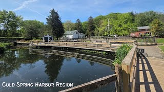 Cold Spring Harbor