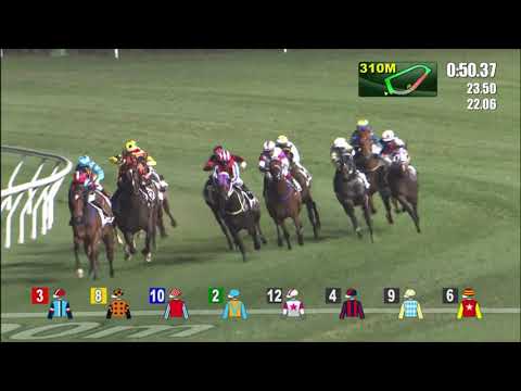 8/12/2021 (236) Touch Faith - J Moreira