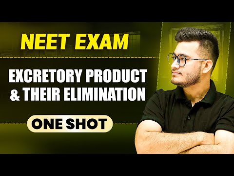 EXCRETORY PRODUCT AND THEIR ELIMINATION in 1 Shot || All Concepts & PYQs Covered || Prachand NEET