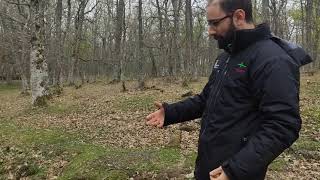 Necrópolis - Ojo Guareña