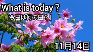 【What is today?】今日は何の日?(1114)|YouTube掲示板《ヒントストック》