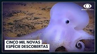 Miniatura do vídeo