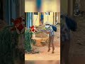 Macro Trending Freefire Meme Vine Macro