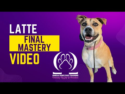 Omega Paws Dog Training video.
