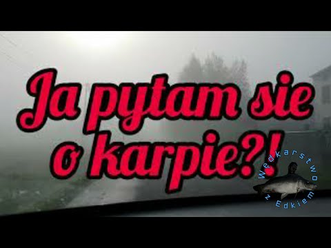 Ja się pytam o karpie?! Walcząc z ostrym cieniem mgły! Wędkarstwo z Edkiem!