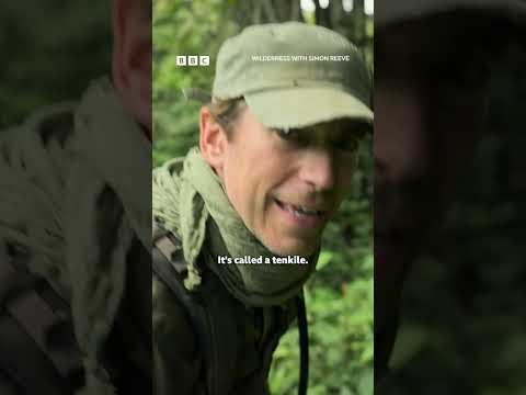 Wilderness2 Episode1 - Papua New Guinea