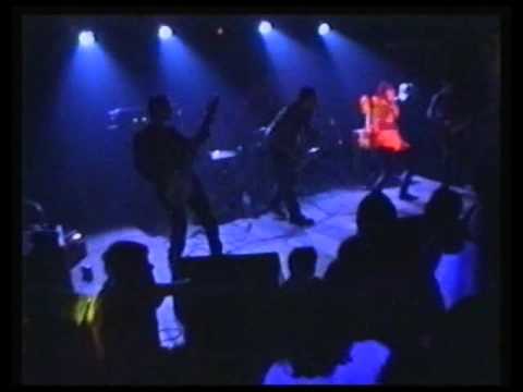 07 Jungle dick   bee dee kay & the rollercoaster live aucard de tours 1999