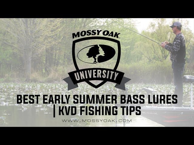 Summer Bass Fishing Tips With Kevin VanDam