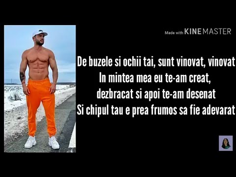 DORIAN POPA FEAT NICOLE CHERRY -VINOVAT (VERSURI/LYRICS)