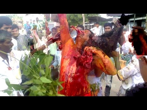 download lagu mp3 mp4 Pothuraju God, download lagu Pothuraju God gratis, unduh video klip Pothuraju God