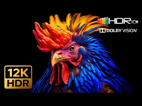 Ultra Sharp 12K HDR 60FPS Dolby Vision™ Demo