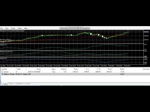 Video Gold Velocity Scalper MT5