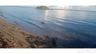 preview picture of video 'capaluhan beach calauag quezon'