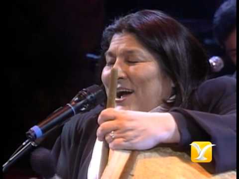 Mercedes Sosa, Al Jardín de la República, Festival de Viña 1993