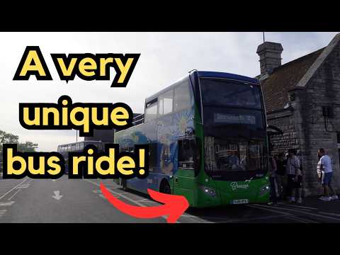 Fan Bus