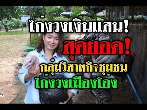ซื้อเชื้อโรคในประเทศจีน ดื่มเบียร์และความแข็งแรงชาย