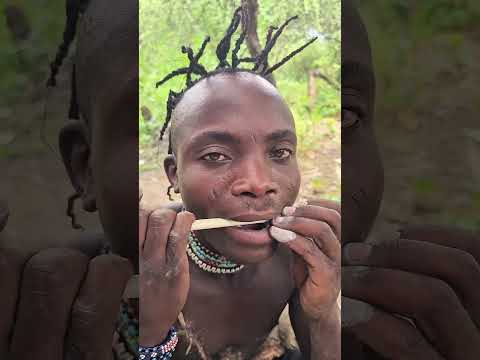 Arrow Making 🏹 ➡️ Name : Sura Ngumu #hadzabe #tribe #hunter #nature #tanzania