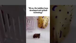 Anti-Pitbull Tecnology