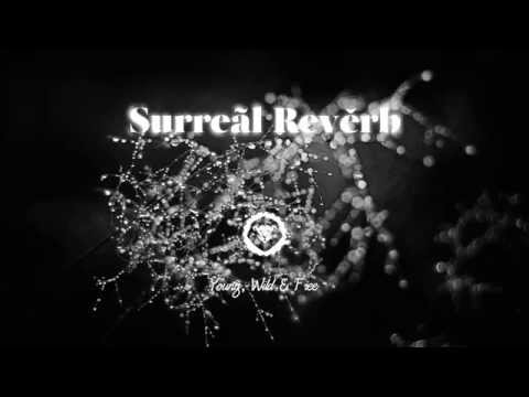 Sam Feldt - Show Me Love (EDX's Indian Summer Remix)