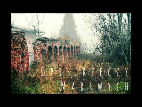 ALI WS - Opis Rzeczy Martwych