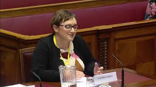 Making the case for dentistry at Stormont