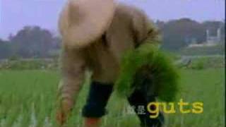 Re: [討論] 其實大罷免的問題應該在於需要修憲了