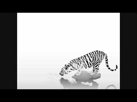 Pier Bucci - Machupitchu (Original Mix)