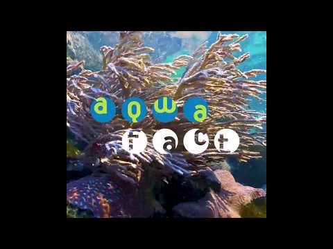AQWA - The Aquarium of Western Australia