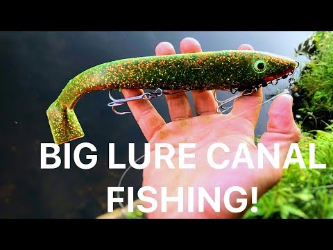 Canal Pike Fishing with a 12 inch shad! (frustrating)