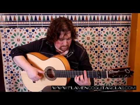 Farruca de Niño Ricardo intrepeta de Jose Luis Rodriguez