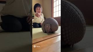 子供とアルマジロ(sora2生成動画)