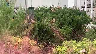 Good Morning I Pulled Up And Saw I Had Alot Of Company