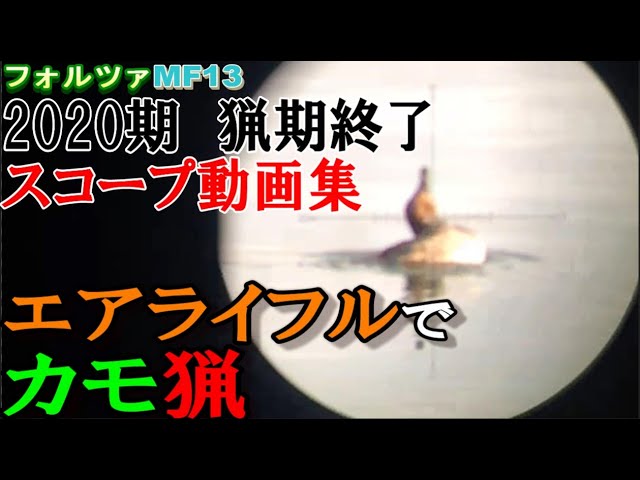 Video de pronunciación de 狩猟 en Japonés