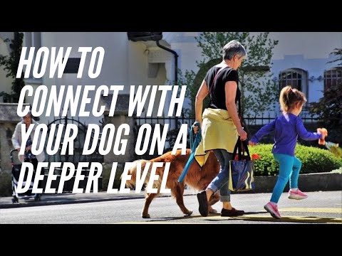 YouTube video about: How to connect with your dog on a deeper level?
