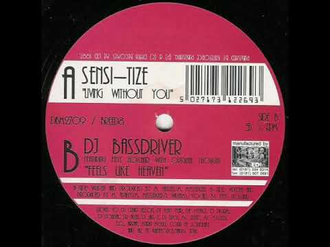 Living Without You - Sensi-Tize