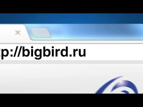Большая птица видео