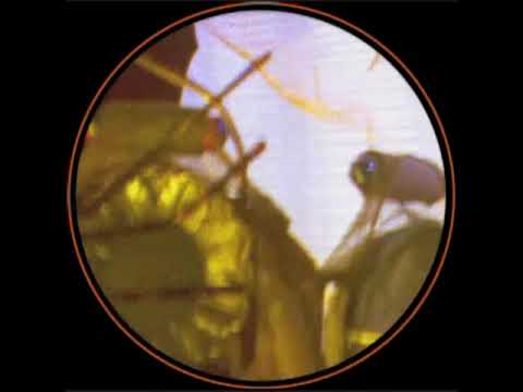 Mirah - Credo cigalia