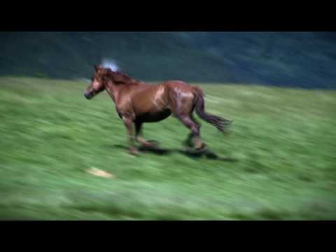 Maramureș - țară veche, țară nouă - un film de Florin ANDREESCU - trailer 4