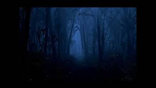 Filters and Edits -  Rupert Hine -  Firefly In The Night