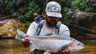 Tips on how to fight and land bigger trout