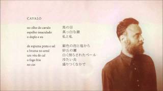 Rodrigo Amarante - Cavalo (Álbum Cavalo)