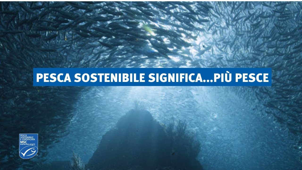 Pesca sostenibile significa più pesce secondo la scienza