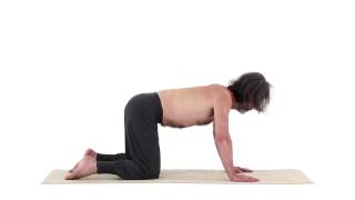 SBARRA ORIZZONTALE – PARIGHA ASANA