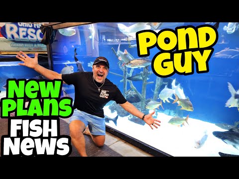 New Tanks! More Fish! Greg Wittstock The Pond Guy Visits OFR