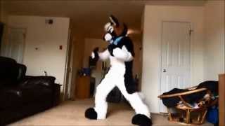Dogs Don&#39;t Need Lip Gloss (Fursuit Dance)