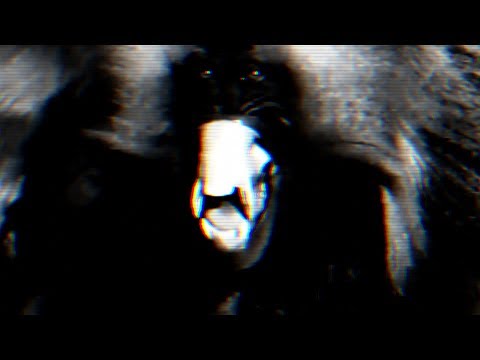 नेपाली हिप-हप।DAWA ⚔ PROFESSOR TRIX /DESCENDED↓[PROD BY DIPAN & DAWA]