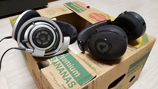 Sennheiser HD800 vs Focal Elex Comparison