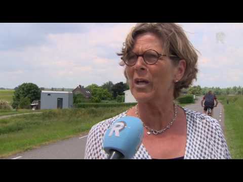 'Krokodillen in natuurgebied Binnenmaas'