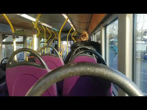 First Leicester Volvo B7RLE Wright Eclipse Urban, 69249 (YJ07 WFR) - Service 88