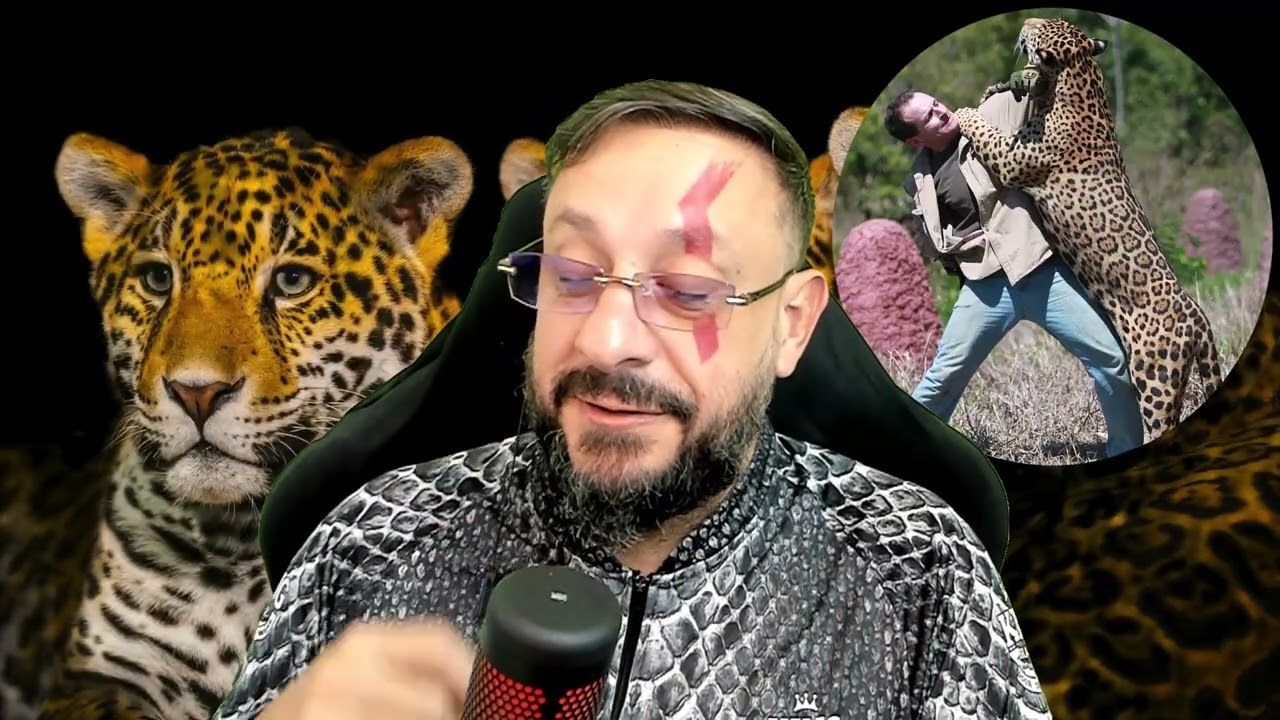 Powerful jaguars, Pantanal X Amazon / differences / Leandro Silveira IOP Jaguar Institute